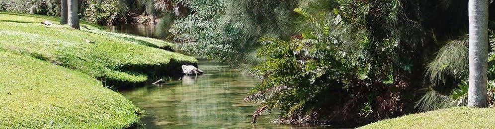 Warm Mineral Springs Motel North Port Εξωτερικό φωτογραφία